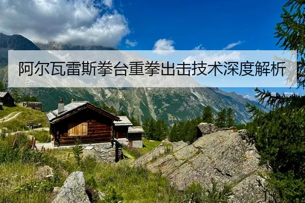 阿尔瓦雷斯拳台重拳出击技术深度解析