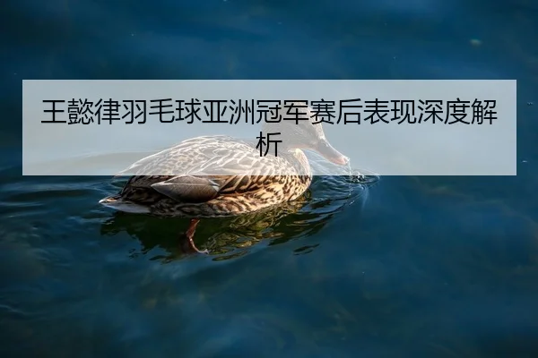王懿律羽毛球亚洲冠军赛后表现深度解析