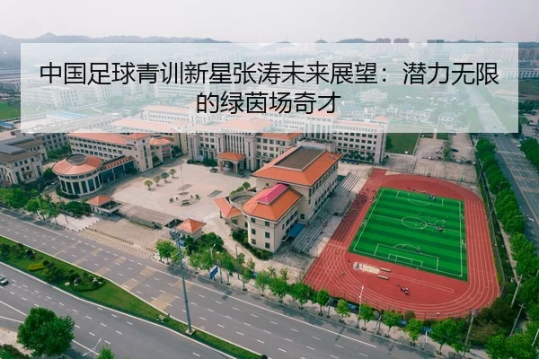 中国足球青训新星张涛未来展望：潜力无限的绿茵场奇才